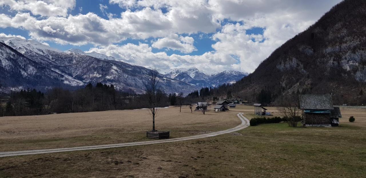 Apartment 7 Lakes Bohinj