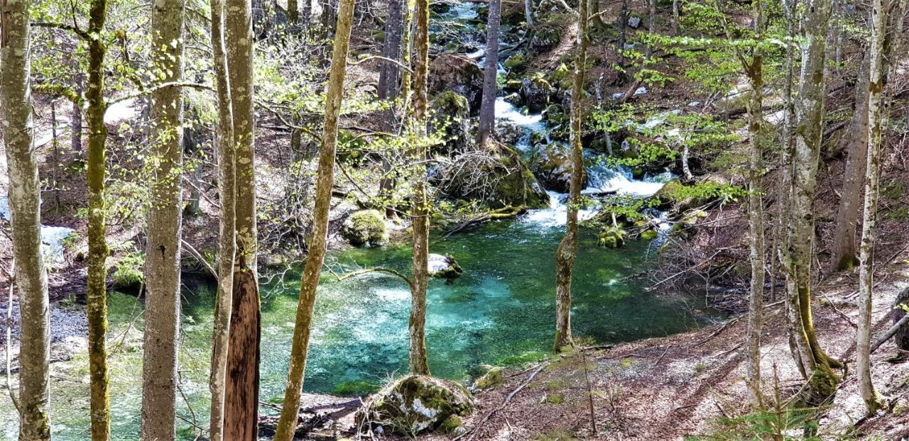 7 Lakes Bohinj